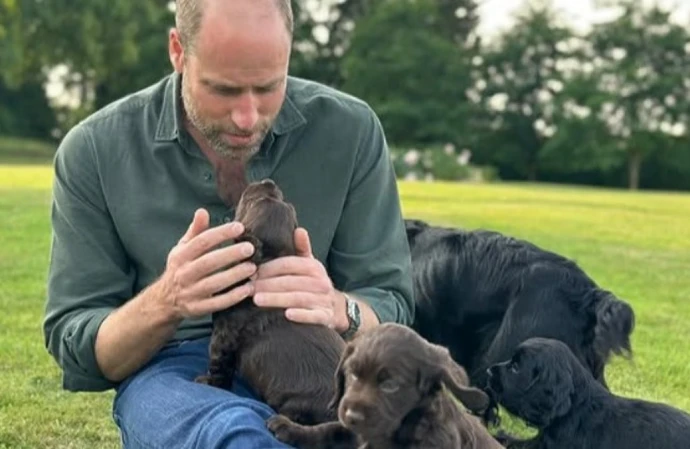 Royals celebrate Prince William's birthday with new photo