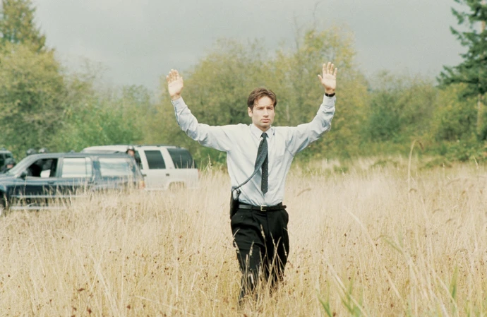 David Duchovny needed to point out character inconsistencies in The X-Files