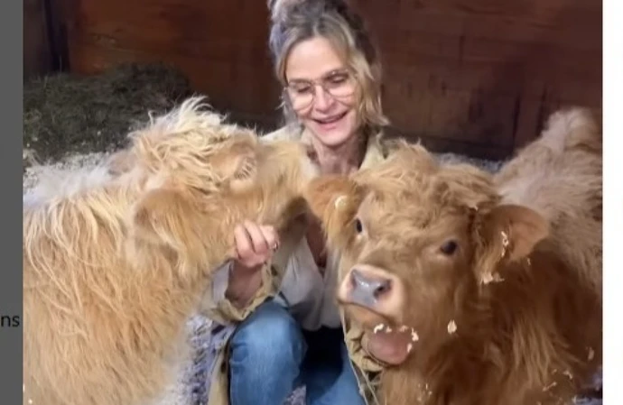 Kyra Sedgwick and her baby cows (c) Instagram