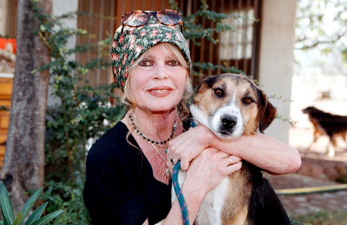 Brigitte Bardot has reportedly been admitted to hospital in France