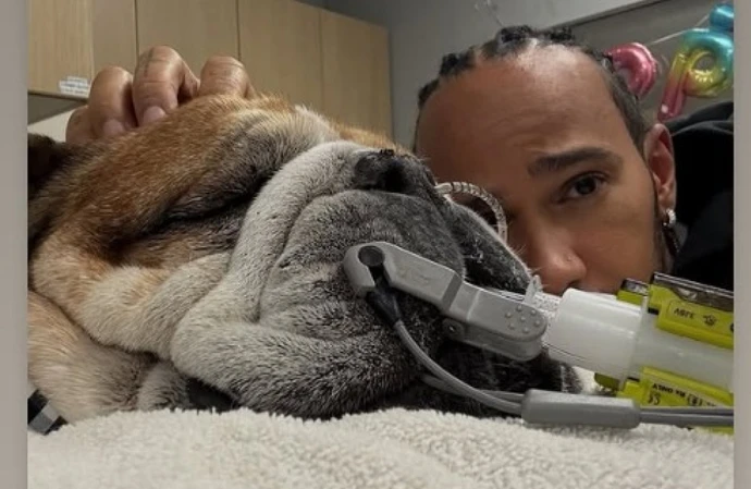 Sir Lewis Hamilton has shared an update about Roscoe