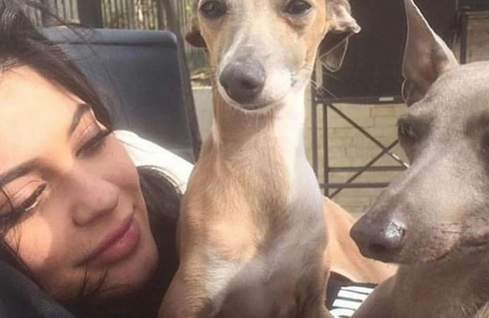 Kylie Jenner is mourning the death of her dog