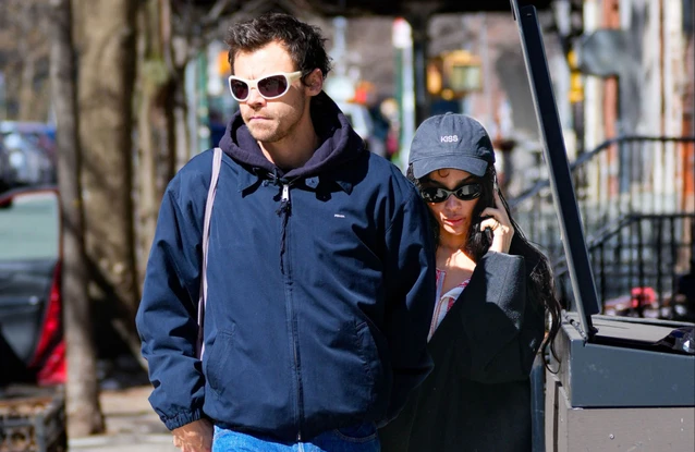Harry Styles and Zoe Kravitz have been pictured together in New York City