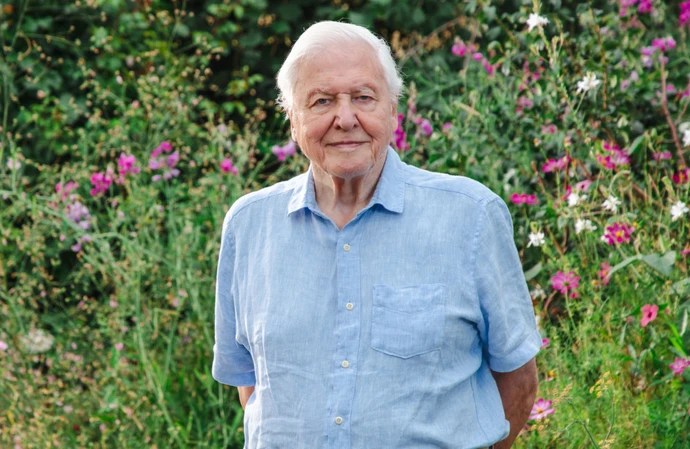 Sir David Attenborough in Secret Garden
