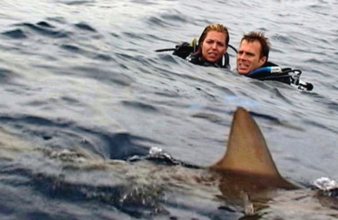 Open Water (2003)  - $55 Million
