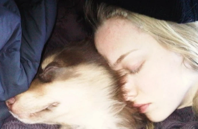 Amanda Seyfried's dog has died