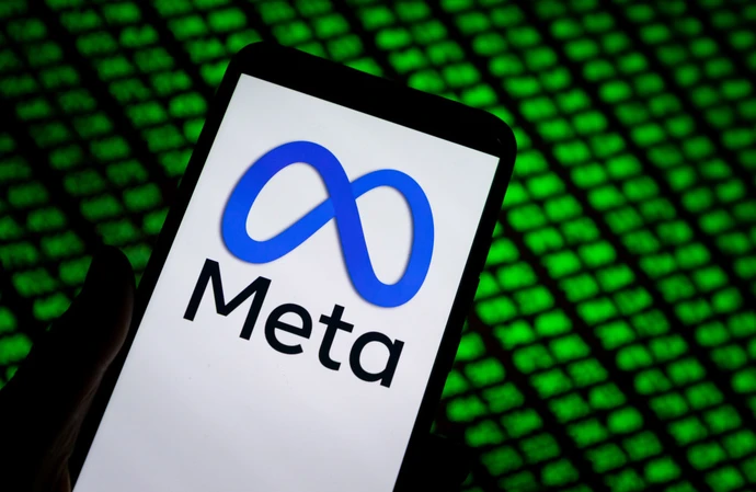 Meta shares have fallen sharply