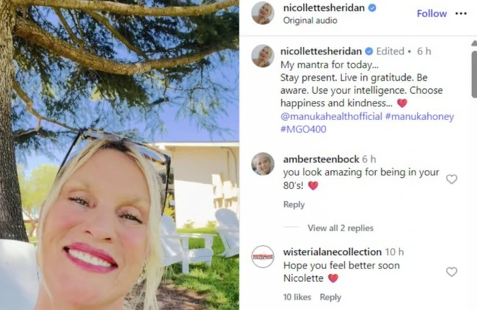 Nicollette Sheridan suffers 'third-degree rope burns' after 'ugly and painful' dog incident
