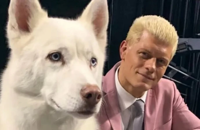 Cody Rhodes' beloved dog Pharaoh has passed away