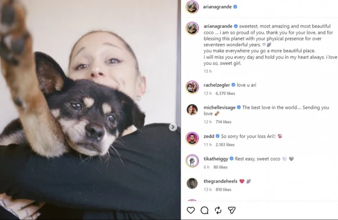 Ariana Grande mourns death of dog Coco